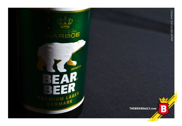 bearbeer_TBD_2
