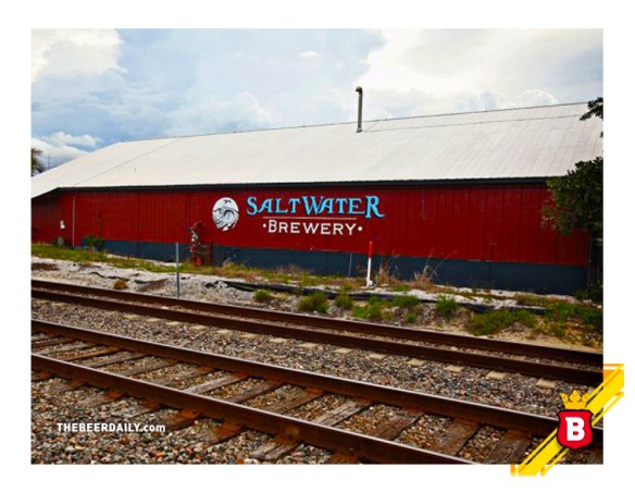 saltwaterediblerings_tbd_1