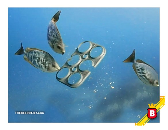 saltwaterediblerings_tbd_2